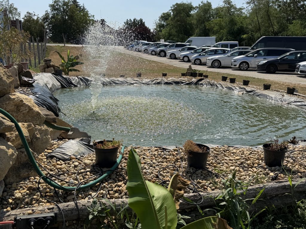 img 0300